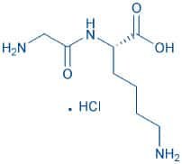 H-Gly-Lys-OH · HCl