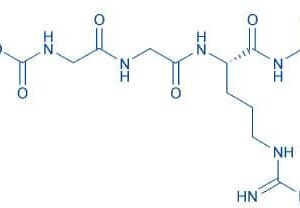 Z-Gly-Gly-Arg-βNA · HCl