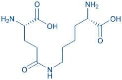 H-Glu(H-Lys-OH)-OH