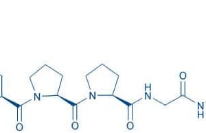 Bradykinin (1-5)