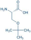 H-Ser(tBu)-OH