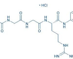 Z-Gly-Gly-Arg-AMC · HCl