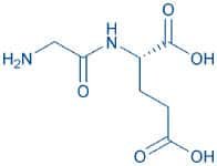 β-Endorphin (30-31) (human)