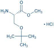 H-Ser(tBu)-OMe · HCl