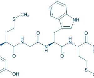 Cholecystokinin Octapeptide (desulfated)
