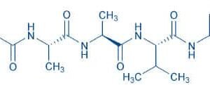 Suc-Ala-Ala-Val-pNA