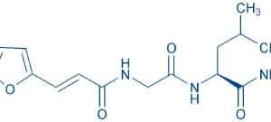 FA-Gly-Leu-NH₂