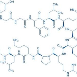 Dynorphin A (1-13)