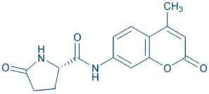 Pyr-AMC