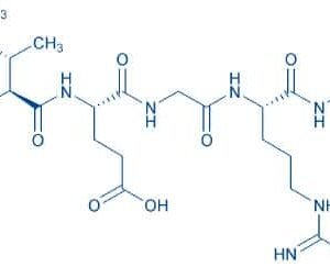 Boc-Ile-Glu-Gly-Arg-AMC