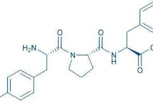β-Casomorphin (1-3)