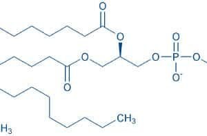 1,2-Distearoyl-sn-glycero-3-phosphocholine