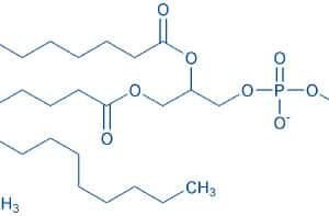 1,2-Distearoyl-rac-glycero-3-phosphocholine