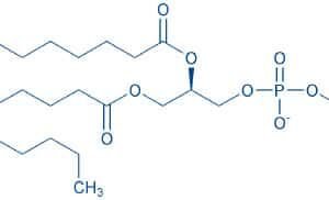 1,2-Dimyristoyl-sn-glycero-3-phosphocholine