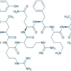 Dynorphin B