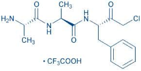 H-Ala-Ala-Phe-chloromethylketone · TFA
