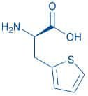 H-β-(2-Thienyl)-D-Ala-OH