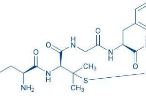 (D-Pen²,D-Pen⁵)-Enkephalin