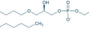 1-O-Hexadecyl-sn-glycero-3-phosphocholine