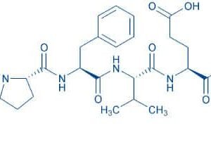 β-Casomorphin (human)
