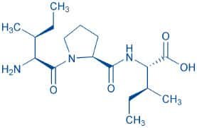 Diprotin A