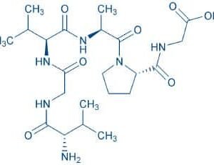 Chemotactic Domain of Elastin