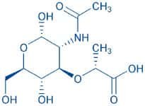 Ac-muramic acid