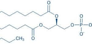 1,2-Dilauroyl-sn-glycero-3-phosphocholine