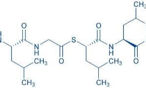 Ac-Pro-Leu-Gly-[(S)-2-mercapto-4-methyl-pentanoyl]-Leu-Gly-OEt
