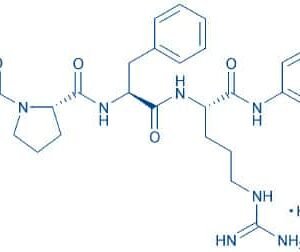 Bz-Pro-Phe-Arg-pNA · HCl