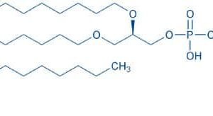 1,2-O-Dihexadecyl-sn-glycero-3-phosphoethanolamine