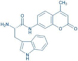 H-Trp-AMC