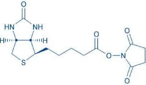 D-Biotinyl-OSu