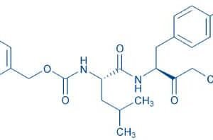 Z-Leu-Tyr-chloromethylketone