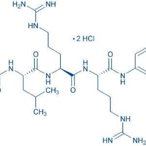 Boc-Leu-Arg-Arg-AMC · 2 HCl
