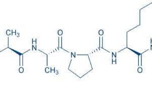Suc-Ala-Ala-Pro-Lys-pNA