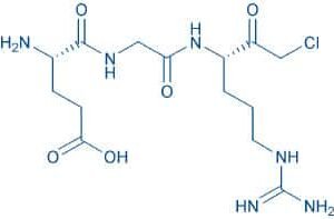 H-Glu-Gly-Arg-chloromethylketone