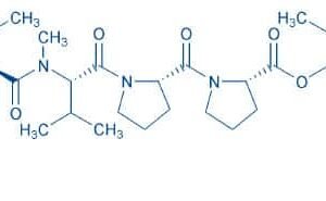 Dolastatin 15
