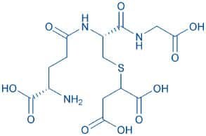 S-(1,2-Dicarboxyethyl)glutathione