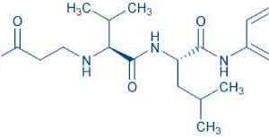 N-(2-Carbamoyl-ethyl)-Val-Leu-anilide