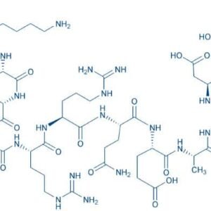 Autocamtide-2-Related Inhibitory Peptide