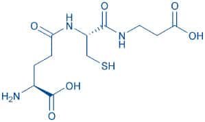 Homoglutathione