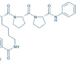 H-Lys(Abz)-Pro-Pro-pNA