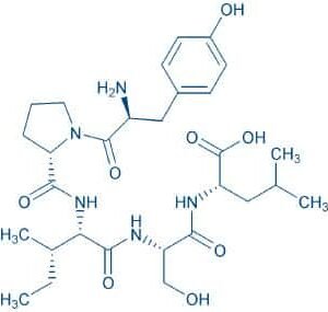 Gluten Exorphin C