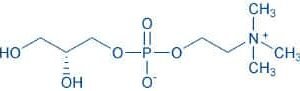sn-Glycero-3-phosphocholine