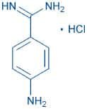 p-Aminobenzamidine · 2 HCl