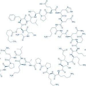 Ghrelin (mouse, rat)