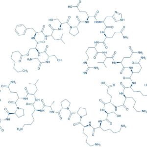 Ghrelin (human)