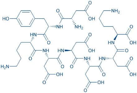 DYKDDDDK Epitope Peptide