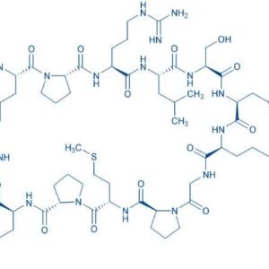 Apelin-12 (human, bovine, mouse, rat)